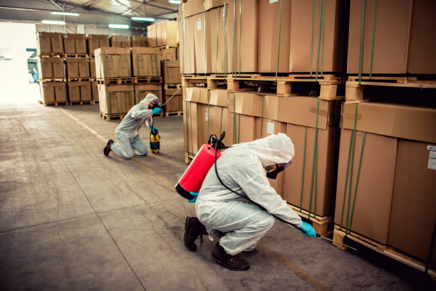 Best Wasp Removal Services  in Meadow Glade, WA