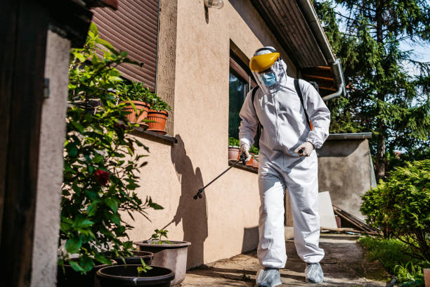 Best Flea Control Services  in Meadow Glade, WA