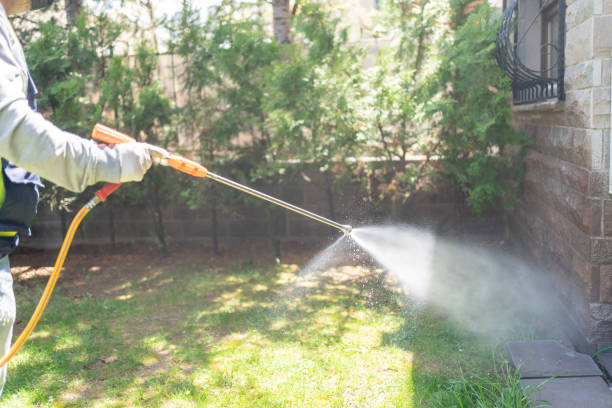 Best Local Pest Control Services  in Meadow Glade, WA