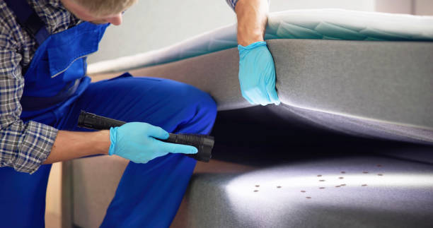 Best Mosquito Control Services  in Meadow Glade, WA