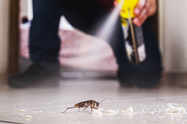 Best Exterminator Services  in Meadow Glade, WA
