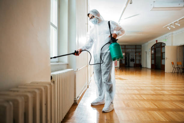Best Best Pest Control Companies  in Meadow Glade, WA